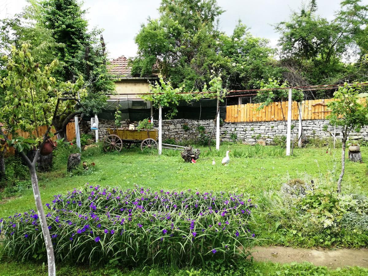 Divna Guest House Krushuna Extérieur photo